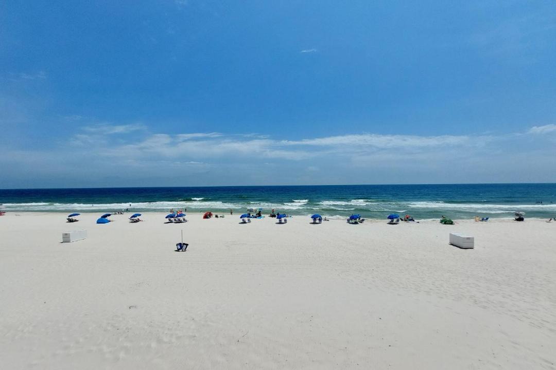 Photo of Others in Gulf Shores