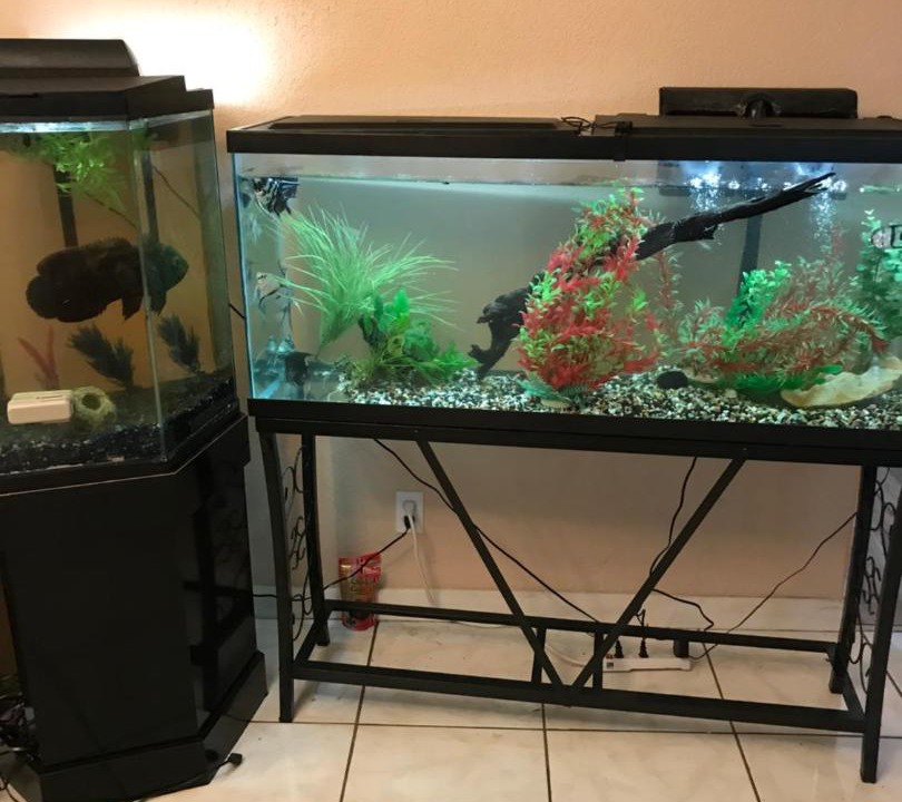 Photo of Others in Tamarac