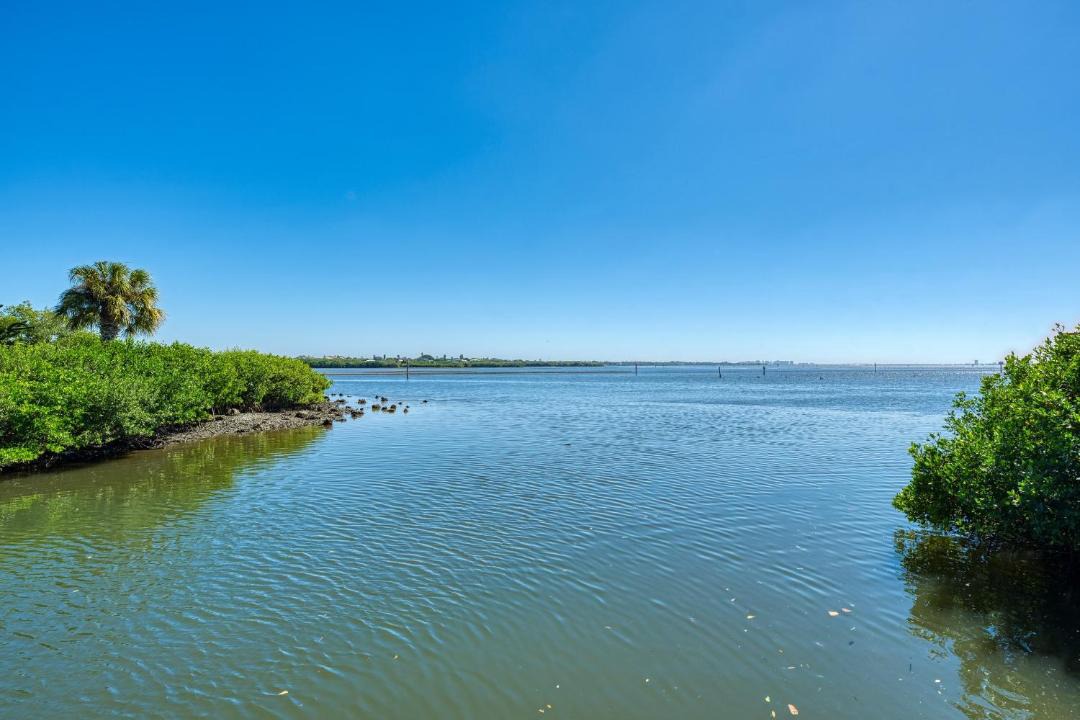 Photo of Others in Bayshore Gardens