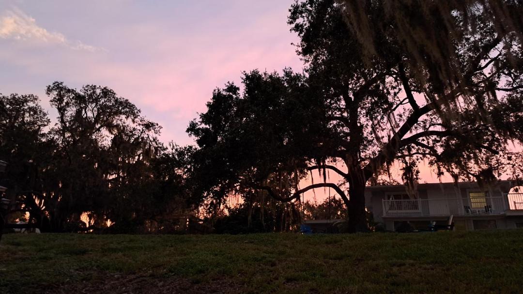 Photo of Others in Sebring