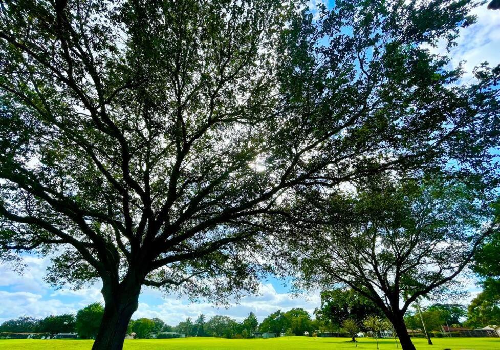 Photo of Outdoor in Plantation