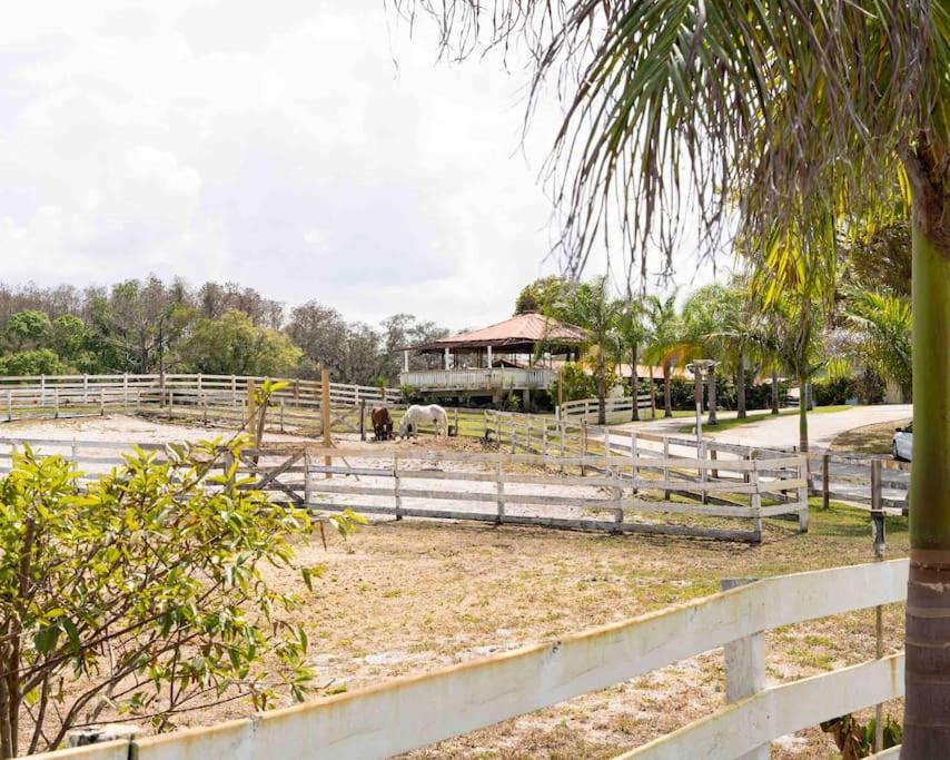 Photo of Others in East Lake