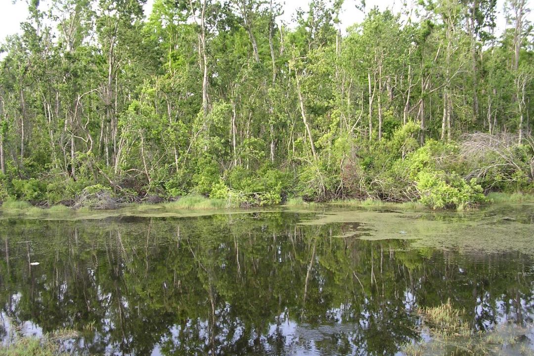 Photo of Outdoor in Countryside