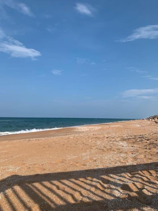 Photo of Others in Ormond-by-the-Sea