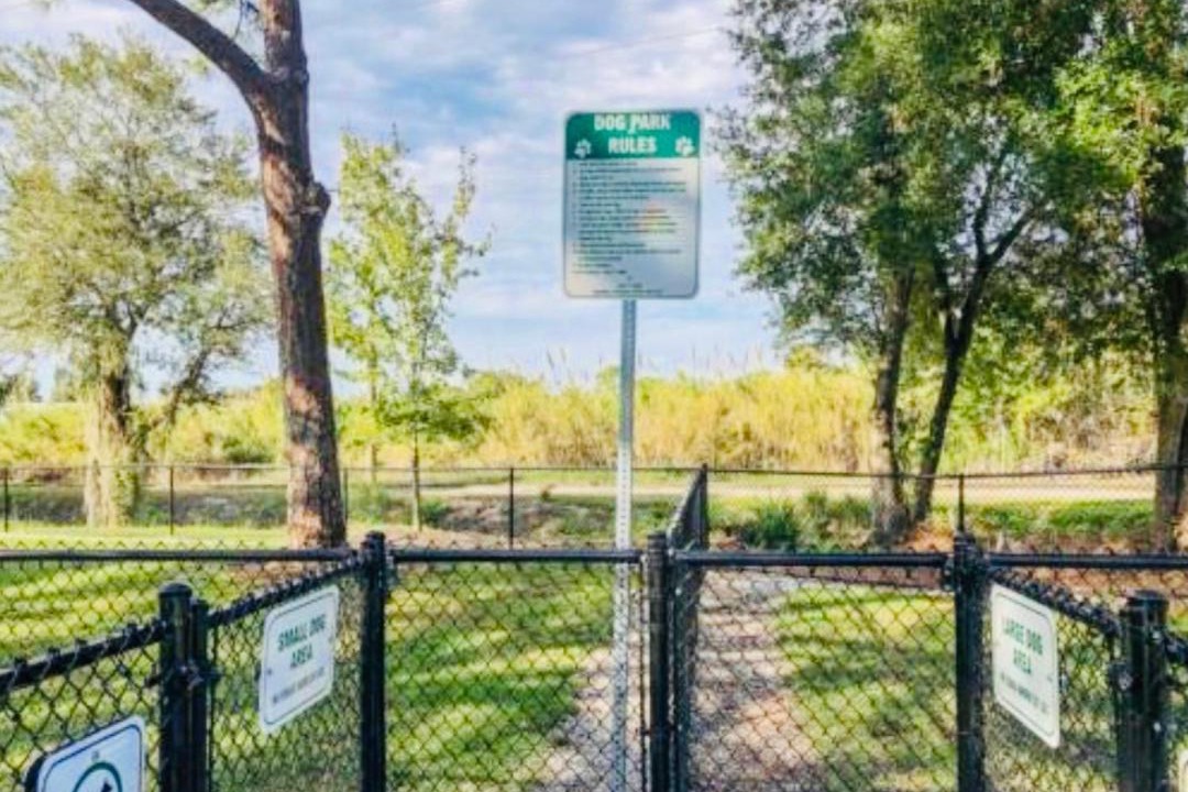 Photo of Others in Gillespie Park