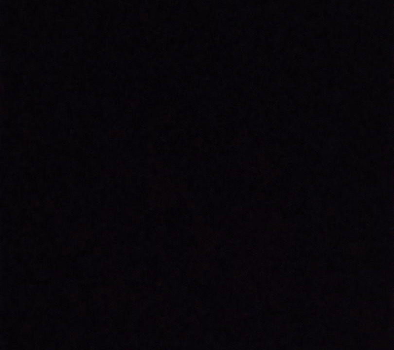 Photo of Others in Poinciana