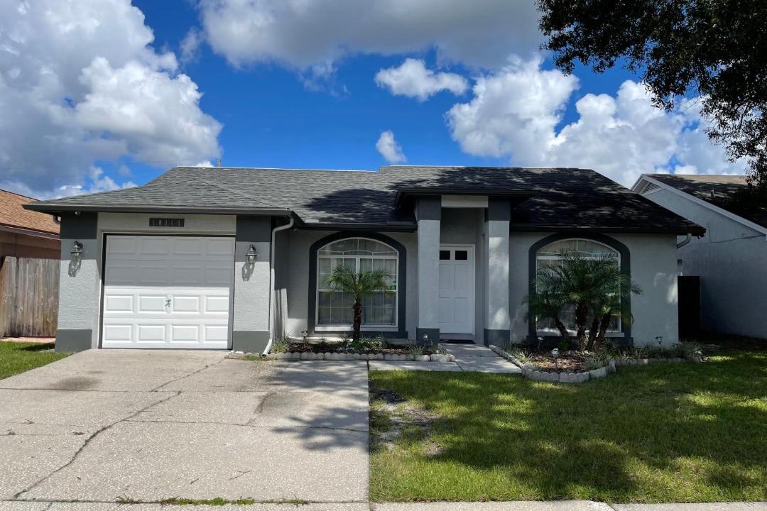 Photo of Buildings in Carrollwood