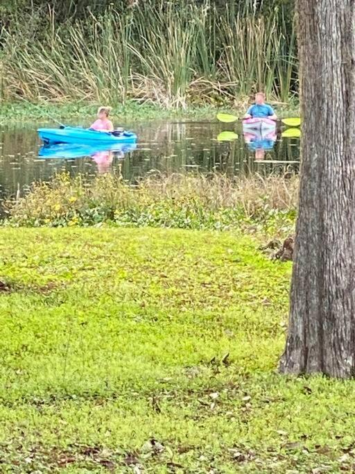 Photo of Outdoor in Crystal River