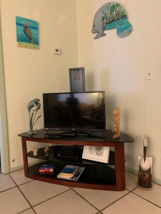 Photo of Livingroom in Crystal River