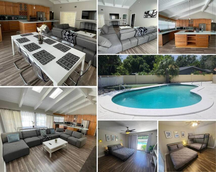 Photo of Outdoor in Carrollwood