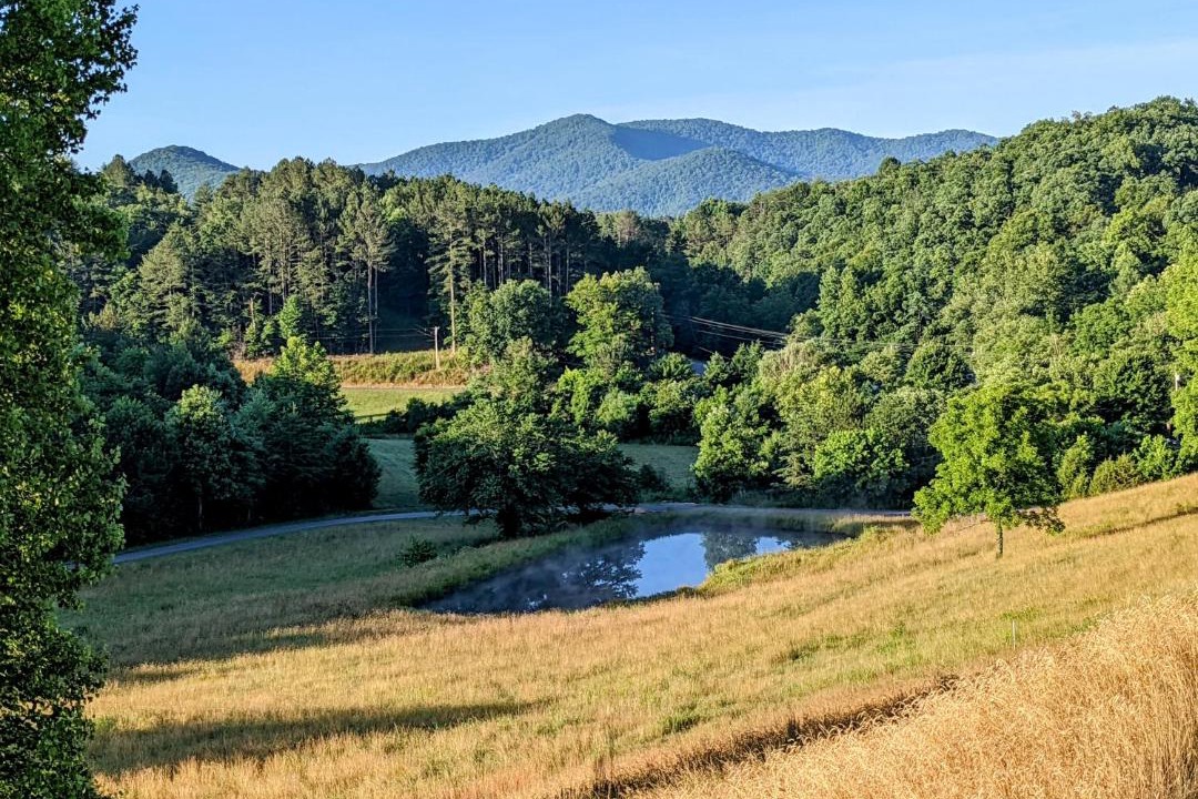Photo of Outdoor in Warne