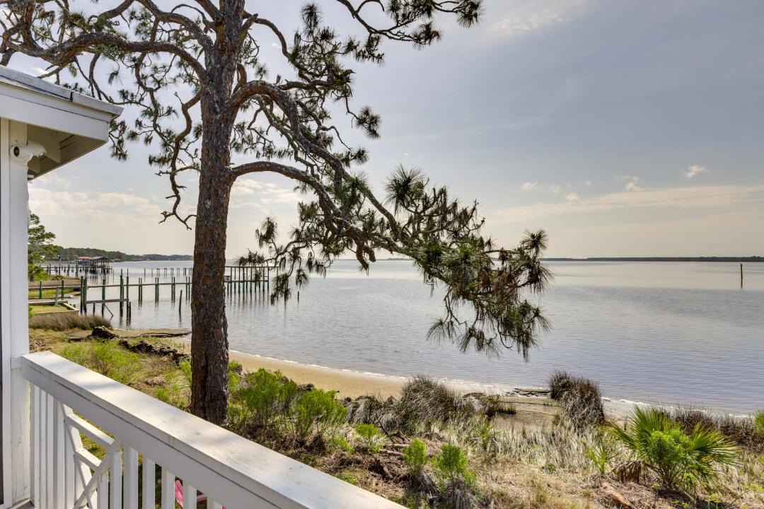 Photo of Others in Ochlockonee Bay