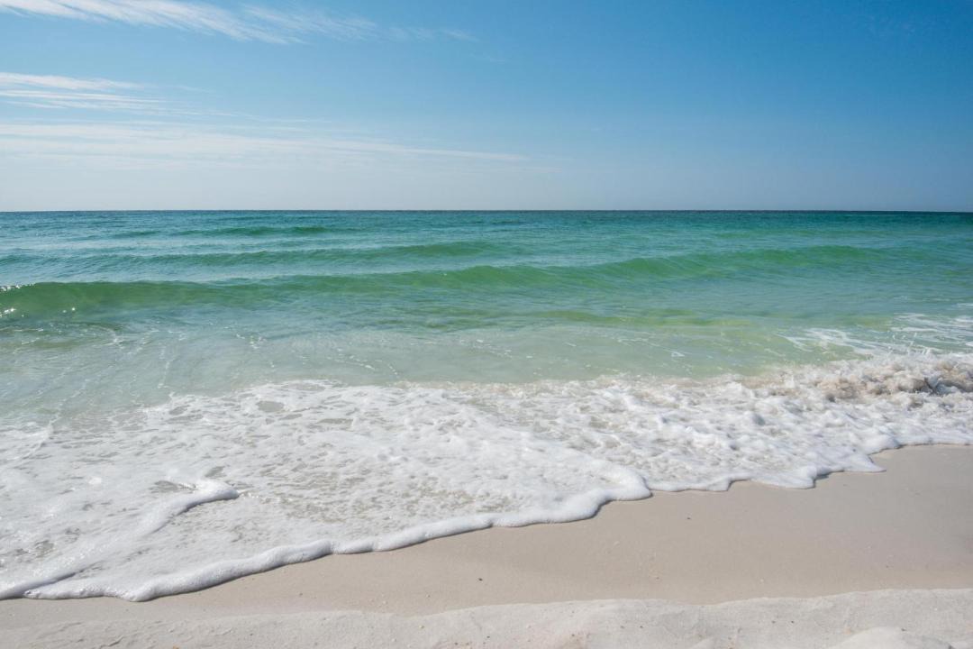 Photo of Others in Gulf Breeze