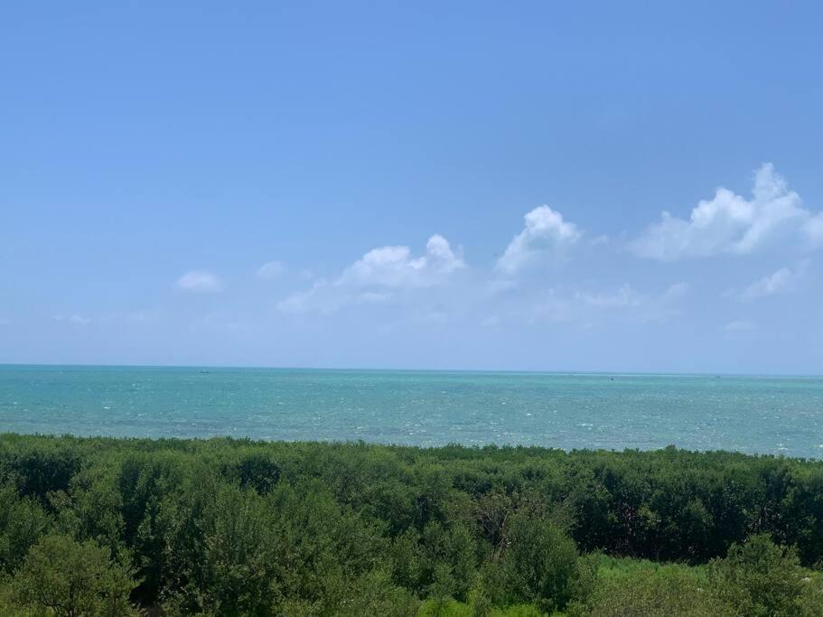 Photo of Others in Tavernier
