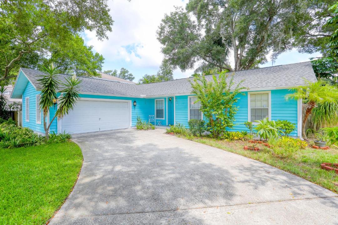 Photo of Buildings in Palm Harbor