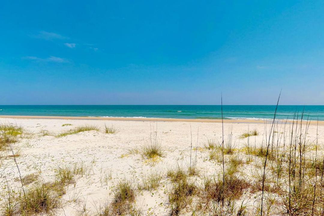 Photo of Outdoor in Plantation