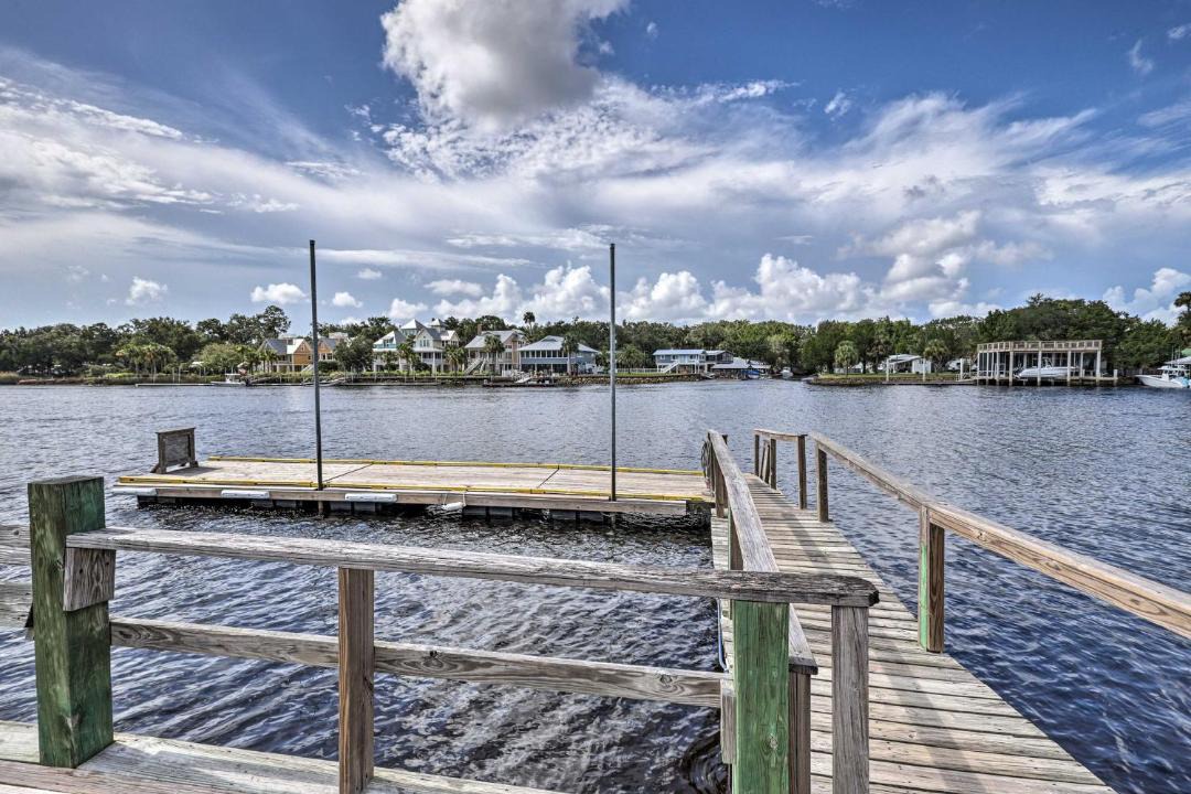 Photo of Others in Steinhatchee