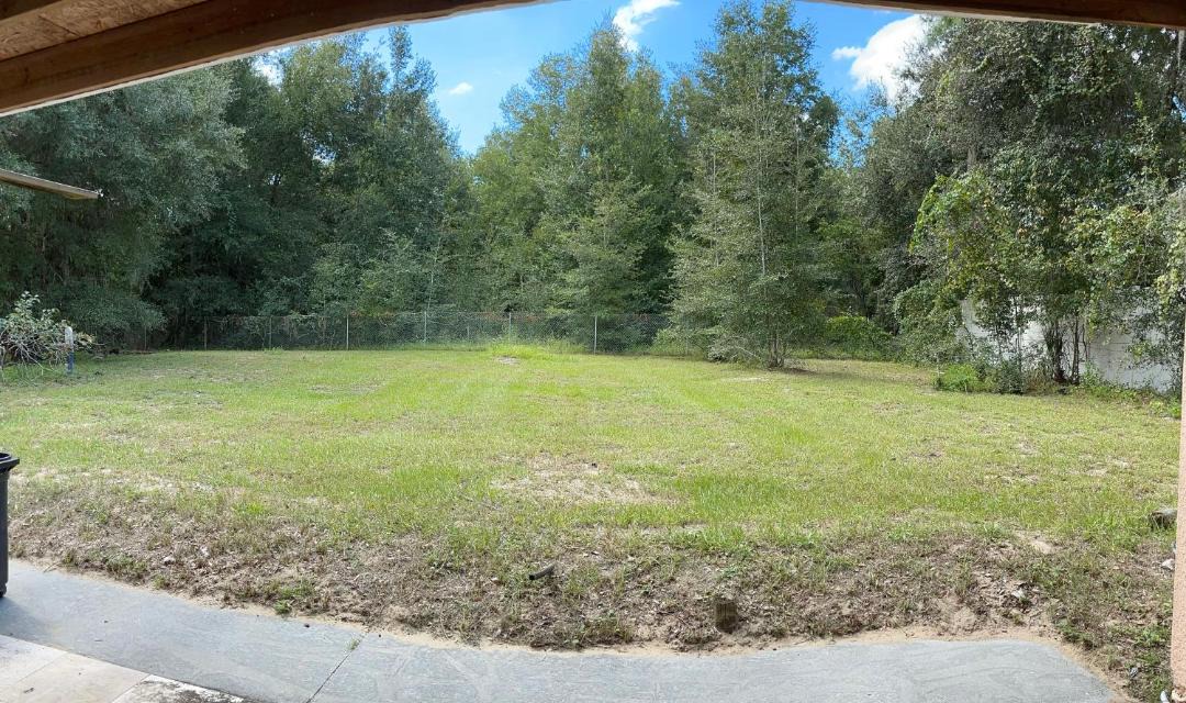 Photo of Outdoor in Apopka