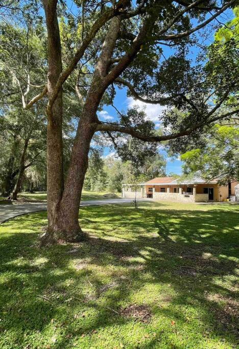 Photo of Outdoor in Apopka
