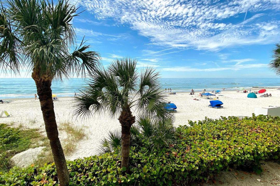 Photo of Others in Madeira Beach