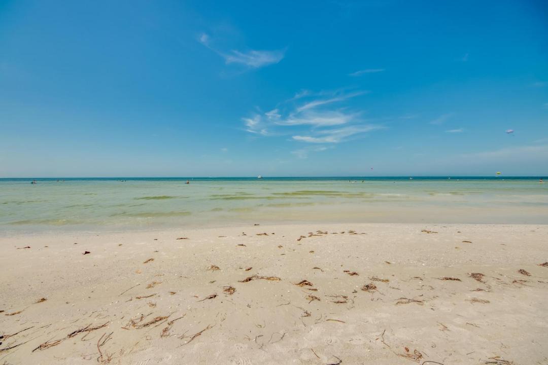 Photo of Others in Mid Island