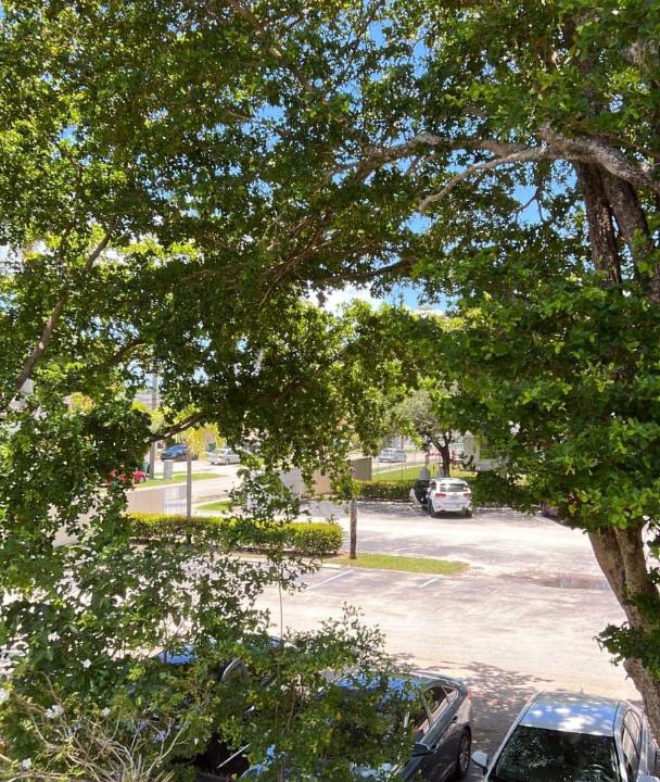 Photo of Others in Golden Glades