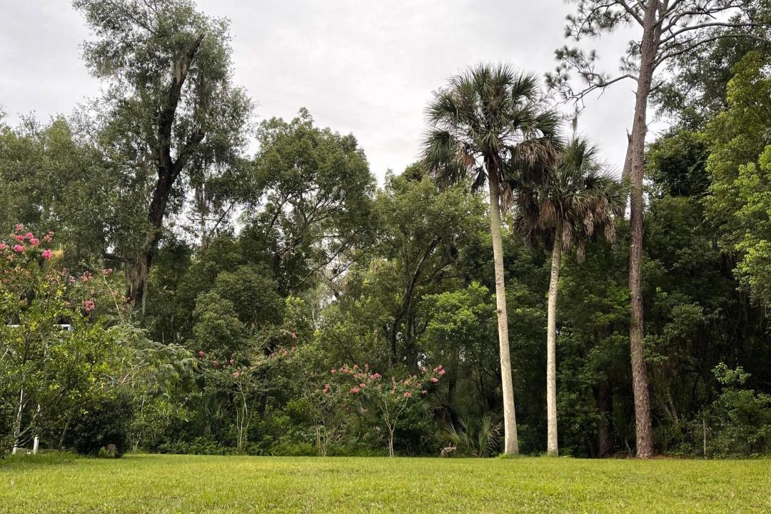 Photo of Others in Cassadaga