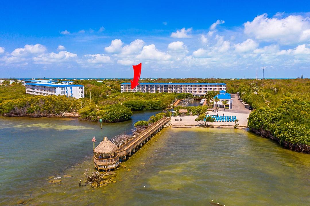 Photo of Others in Tavernier