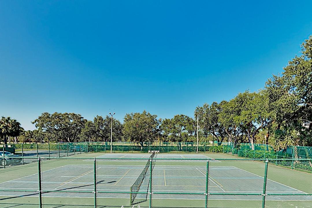 Photo of Others in Tierra Verde