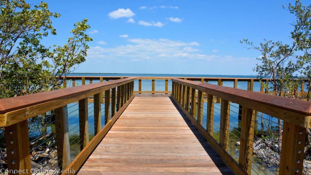 Photo of Others in Safety Harbor