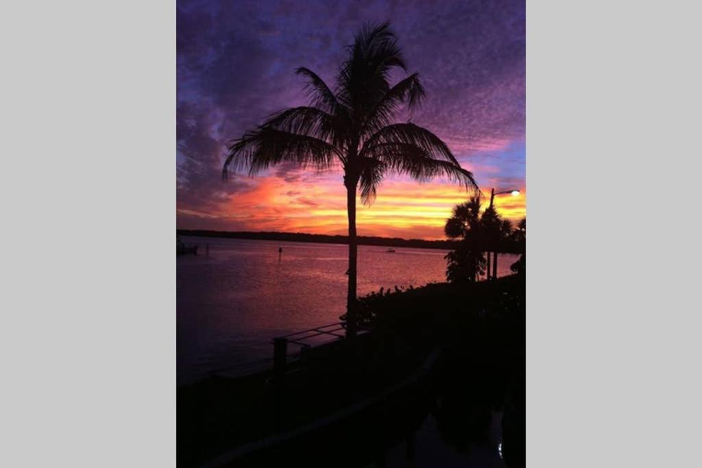 Photo of Others in St. Petersburg - Clearwater