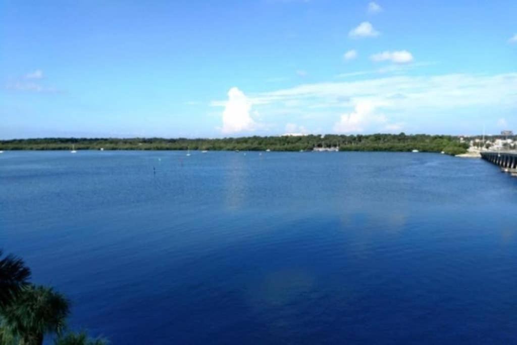 Photo of Outdoor in St. Petersburg - Clearwater