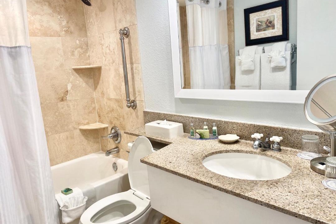 Photo of Bathroom in St. Pete Beach