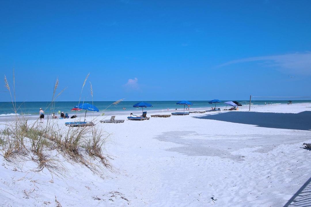 Photo of Outdoor in Indian Shores