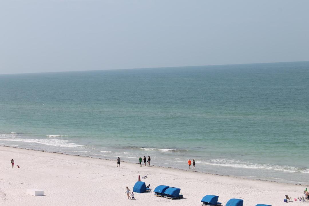 Photo of Others in Indian Shores