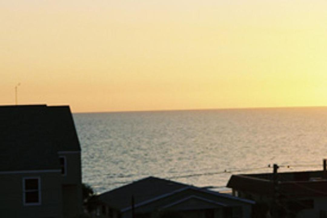 Photo of Others in Indian Shores