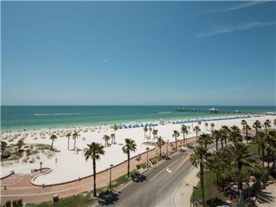 Photo of Others in Clearwater Beach