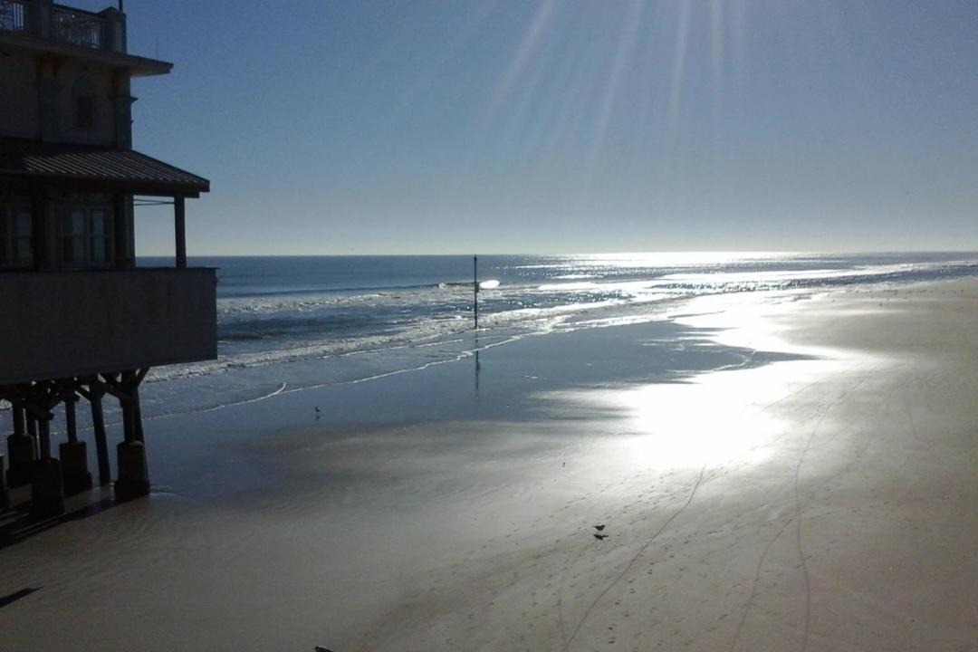 Photo of Others in Daytona Beach Shores