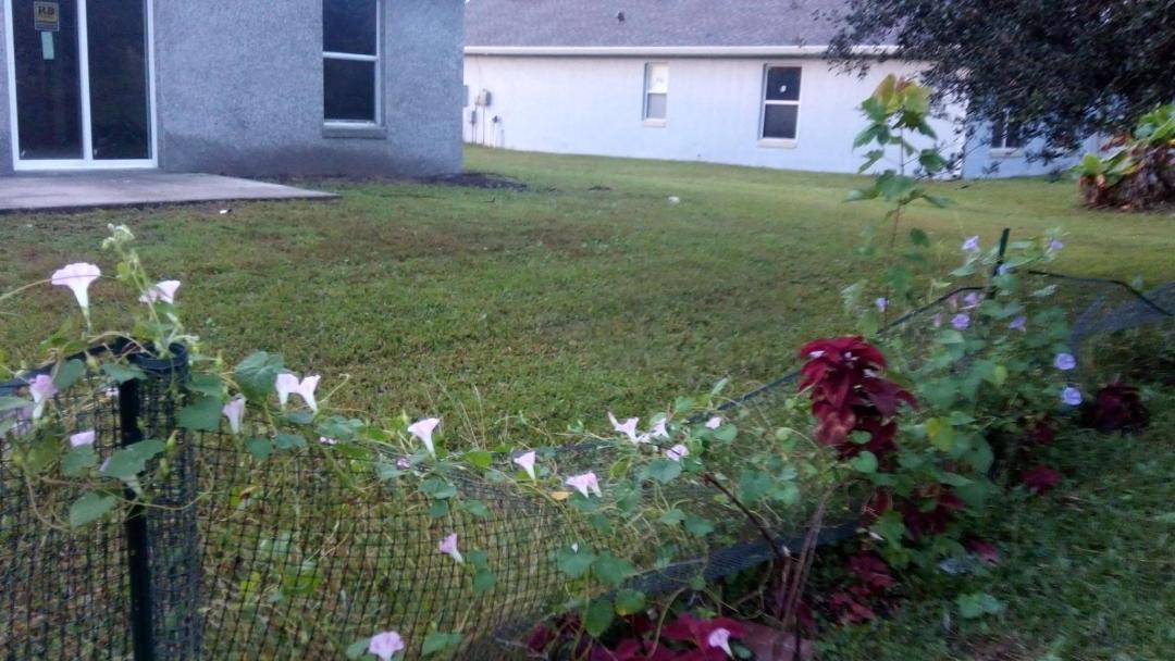 Photo of Buildings in Poinciana