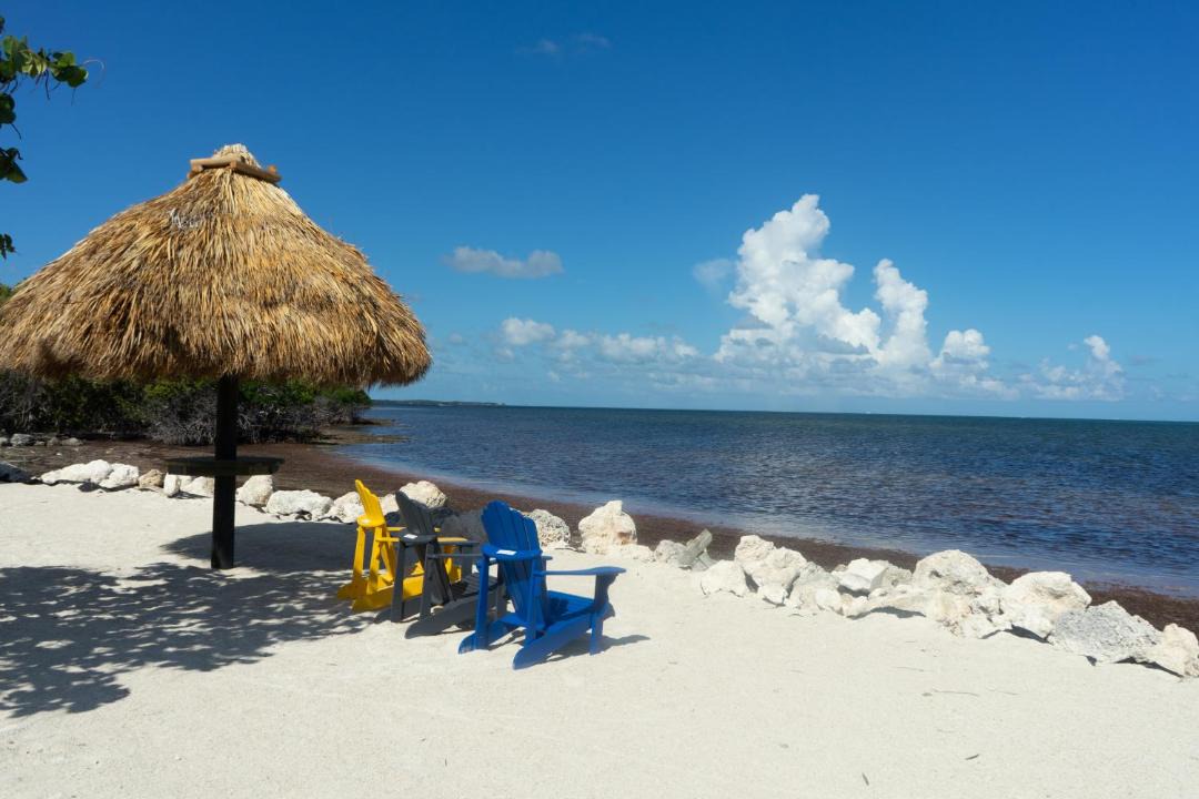 Photo of Others in Key Largo
