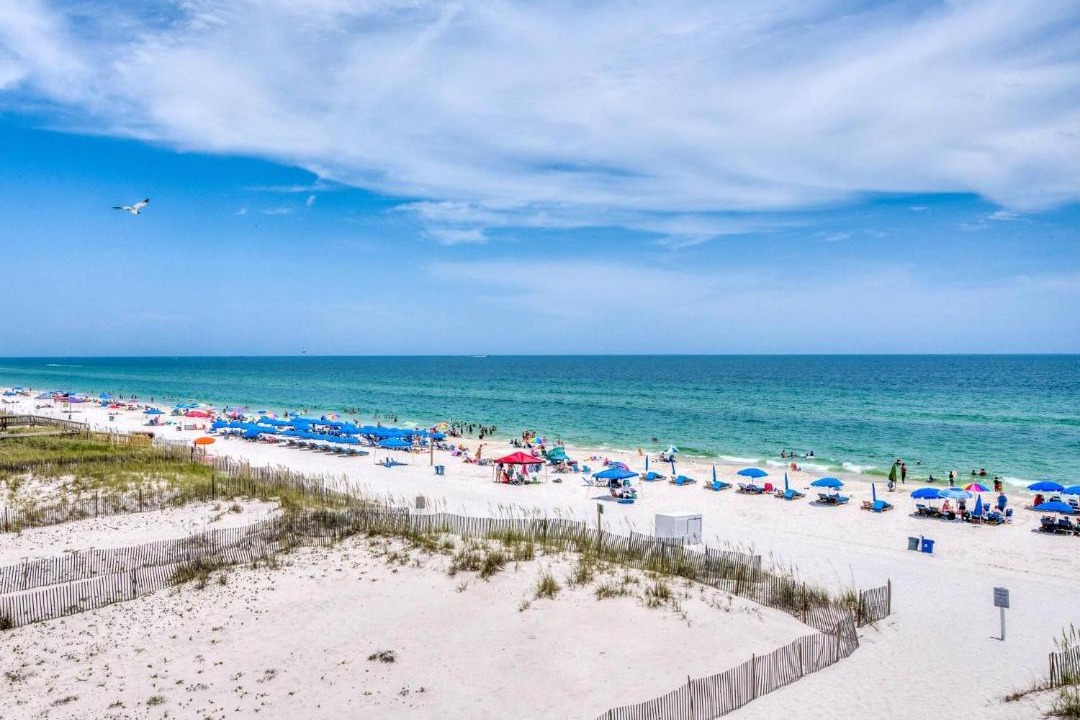 Photo of Others in Gulf Shores