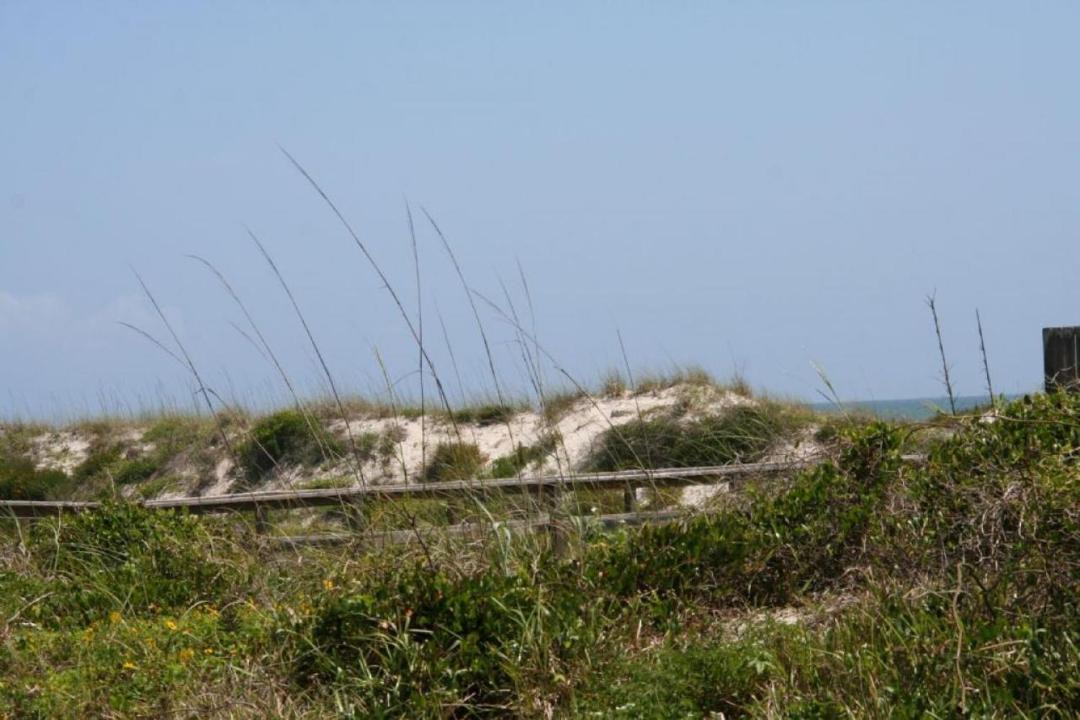 Photo of Others in Butler Beach
