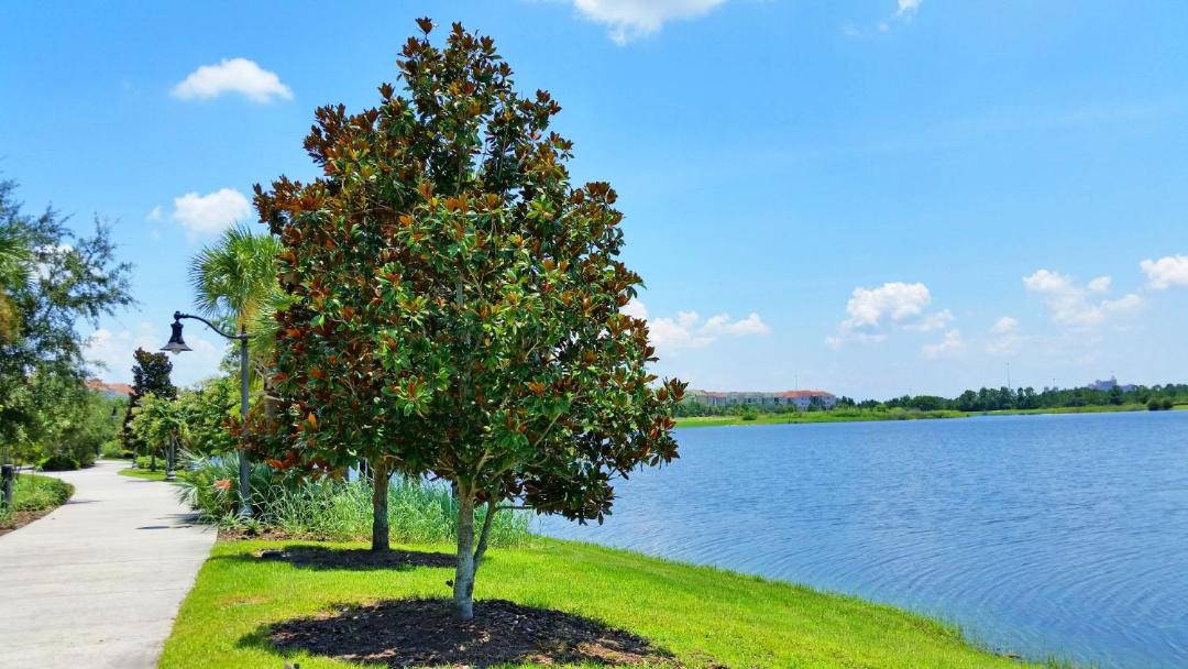 Photo of Outdoor in Florida Central Atlantic Coast