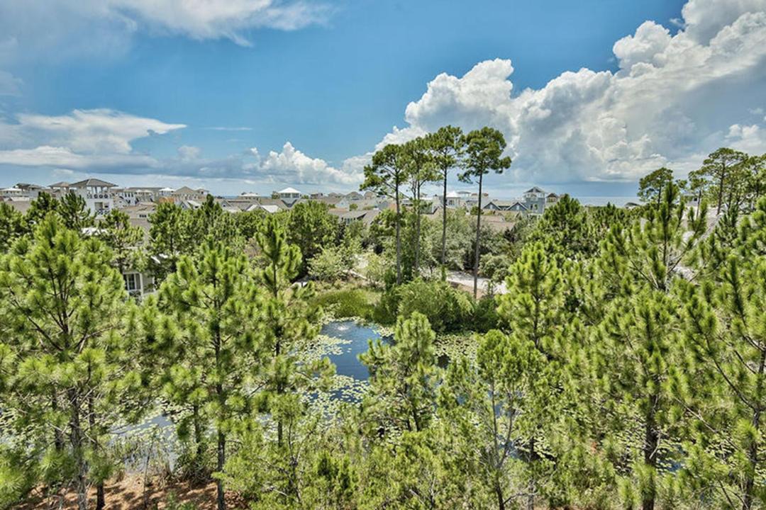 Photo of Outdoor in WaterSound Beach