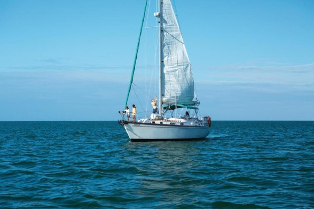 Photo of Outdoor in Royal Harbor