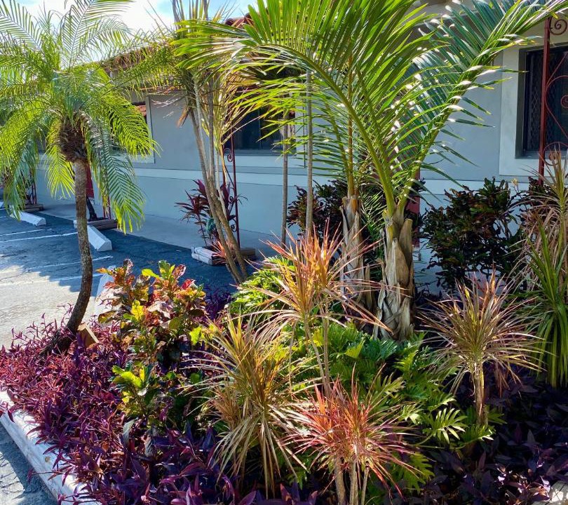 Photo of Outdoor in Poinciana Park