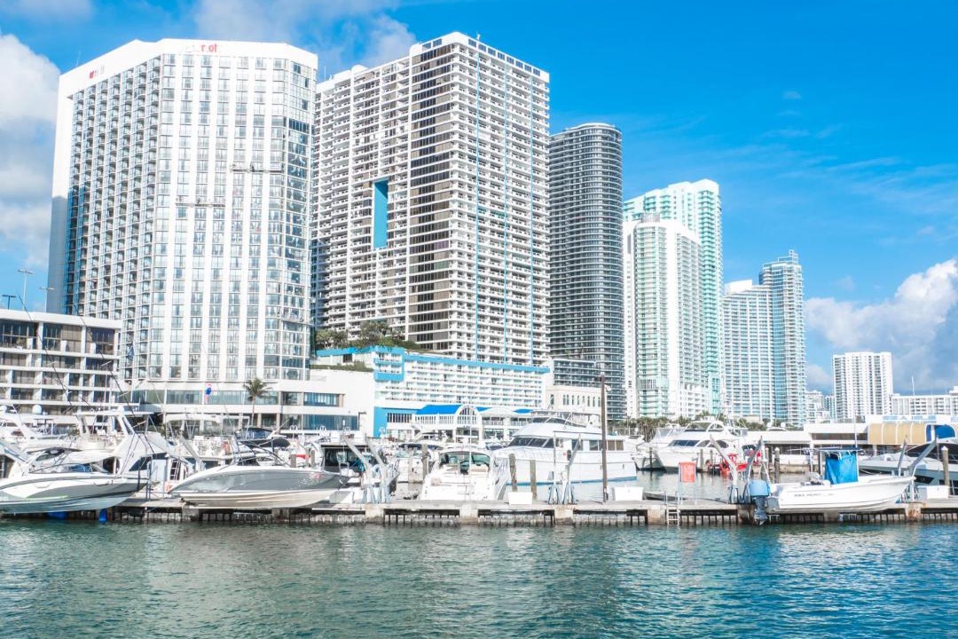 Photo of Others in Downtown Miami
