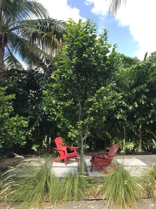 Photo of Others in Southwest Coconut Grove