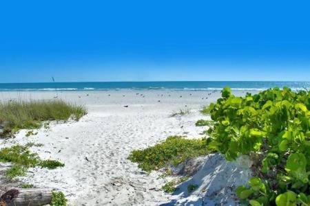 Photo of Others in Redington Shores