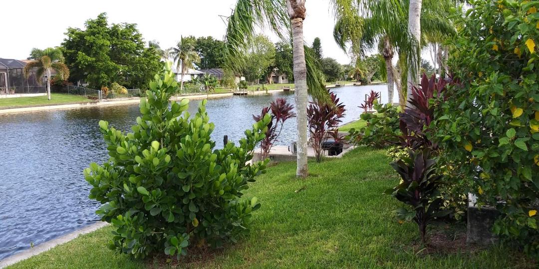 Photo of Others in Fort Myers